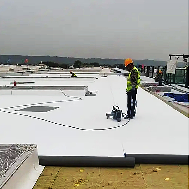Analysis of the Development Prospects of the Building Waterproofing Industry Analysis of the Development Prospects of the Building Waterproofing Industry