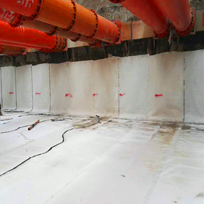  Pre Applied HDPE Tunnel Waterproof Membrane