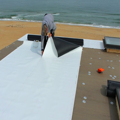 Tpo Waterproof Membrane for Bulid Roofing with Factory Price